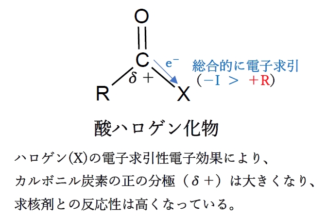 カルボン酸誘導体の反応性（反応速度）・安定性の序列とその理由